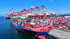 'Battered and bruised but still standing': WTO chief on global trade after tariffs