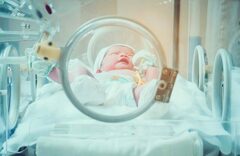 Mom’s Voice Boosts Baby’s Speech Development In The Womb