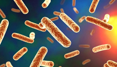 3 Deaths, 67 People in NYC Diagnosed With Legionnaires' Disease