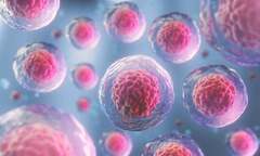 Targeting Hidden Breast Cancer 'Sleeper Cells' May Prevent Relapse