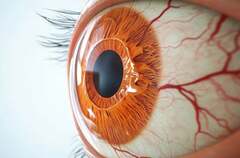 Eye Scans Might Help Determine Heart Health Risk, Experts Say