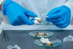 Popularity of Psilocybin, Psychedelics Hasn't Increased ER Visits