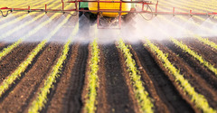 Pesticide Linked To Impaired Brain Development Among Kids