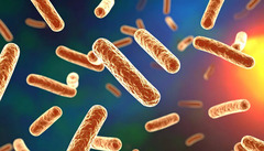 3 Deaths, 67 People in NYC Diagnosed With Legionnaires’ Disease