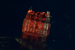 3D Printing Offering Hope For Spinal Cord Injuries