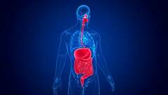 Study Finds Surprising Link Between Gut and Brain Rhythms