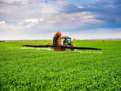 Agriculture Linked To Melanoma Cluster In Pennsylvania