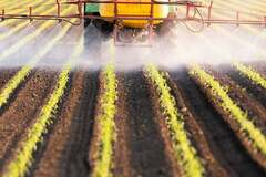 Pesticides Endanger People’s Good Gut Microbes